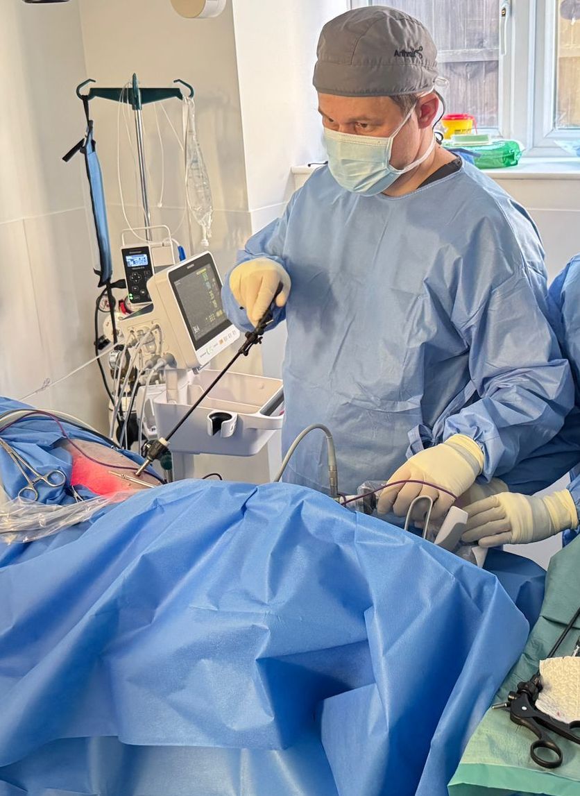 Operationssaal Tierchirurgie Hund