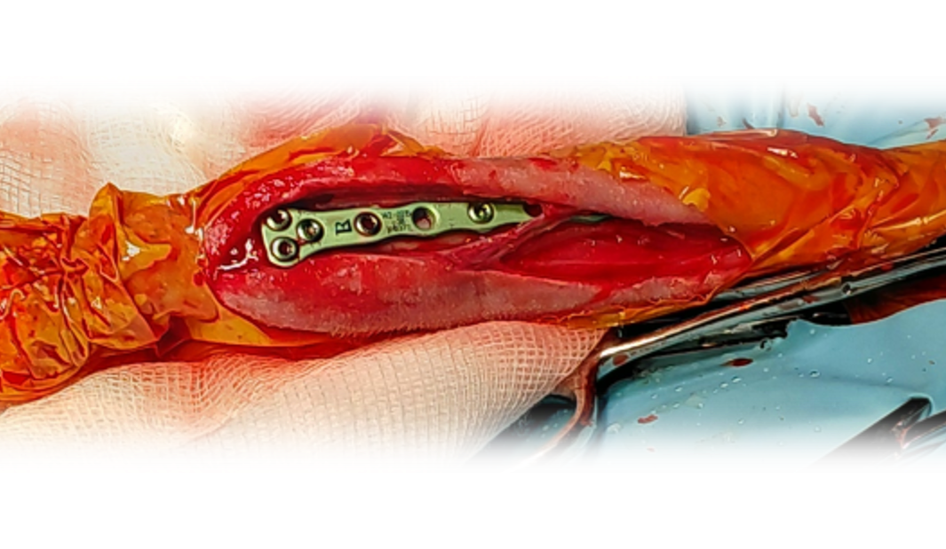 Sterile chirurgische Instrumente Tiermedizin